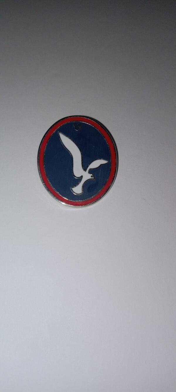 Disney Seagull trading mickey pin.